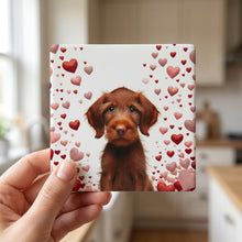 Wirehaired Vizsla ceramic coasters set of 4, in hand