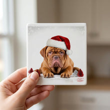 Dogue de Bordeaux ceramic coasters set of 4, in hand