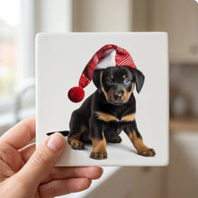 Beauceron Puppy ceramic coasters set of 4, in hand