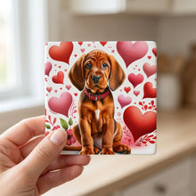 Rhodesian Ridgeback ceramic coasters set of 4, in hand