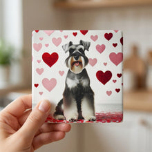 Miniature Schnauzer ceramic coasters set of 4, in hand