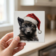 Belgian Sheepdog Puppy Drawing ceramic coasters set of 4, in hand