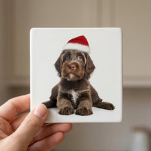 Wirehaired Pointing Griffon Puppy ceramic coasters set of 4, in hand