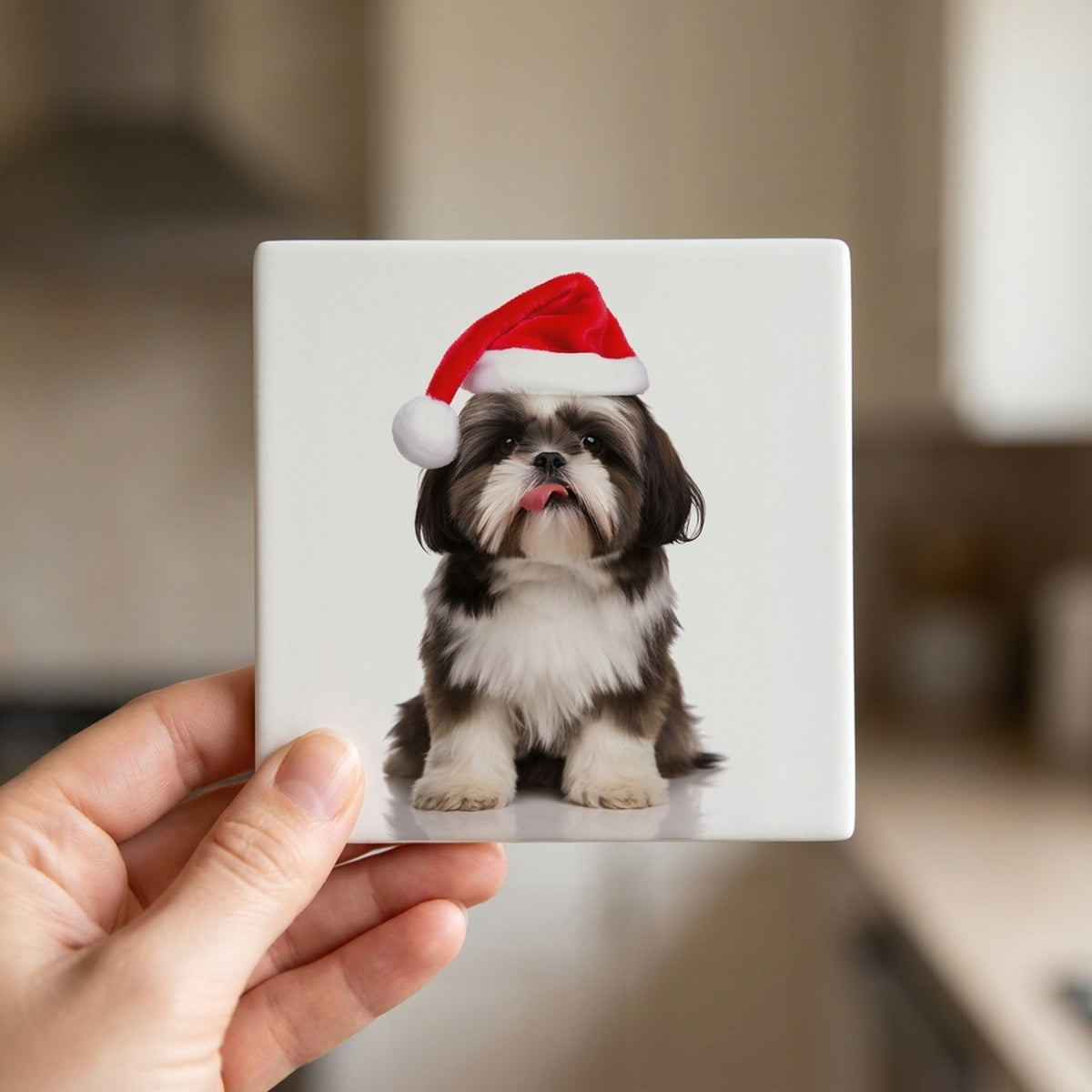 Shih Tzu ceramic coasters set of 4, in hand