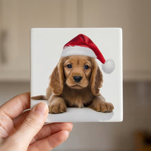 Cocker Spaniel Puppy ceramic coasters set of 4, in hand