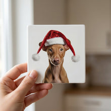 Pharaoh Hound Puppy ceramic coasters set of 4, in hand