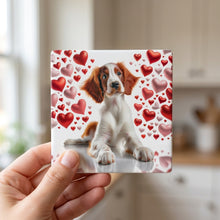 Welsh Springer Spaniel ceramic coasters set of 4, in hand