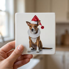 Basenji ceramic coasters set of 4, in hand