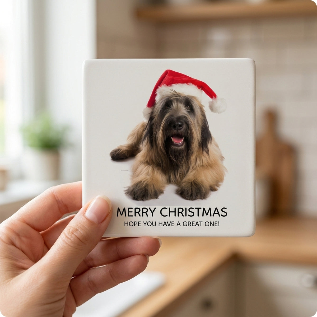 Briard ceramic coasters set of 4, in hand