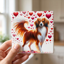 Nederlandse Kooikerhondje ceramic coasters set of 4, in hand