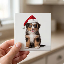 Miniature American Shepherd Puppy ceramic coasters set of 4, in hand