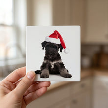 Kerry Blue Terrier Puppy ceramic coasters set of 4, in hand