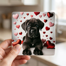 Cane Corso ceramic coasters set of 4, in hand