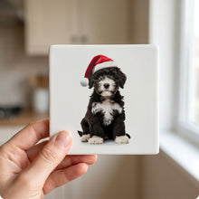 Portuguese Water Dog Puppy ceramic coasters set of 4, in hand