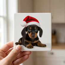 Dachshund Puppy ceramic coasters set of 4, in hand