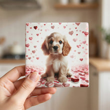Cocker Spaniel ceramic coasters set of 4, in hand