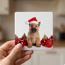 Norwich Terrier Puppy ceramic coasters set of 4, in hand