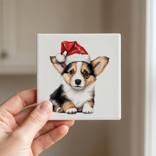 Pembroke Welsh Corgi Puppy Drawing ceramic coasters set of 4, in hand