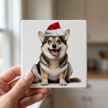 Swedish Vallhund ceramic coasters set of 4, in hand