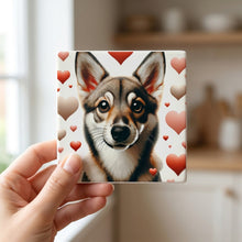 Swedish Vallhund ceramic coasters set of 4, in hand