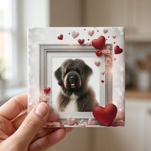 Bouvier des Flandres ceramic coasters set of 4, in hand