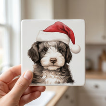 Spanish Water Dog Puppy Drawing ceramic coasters set of 4, in hand