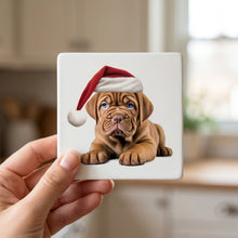 Dogue de Bordeaux Puppy Drawing ceramic coasters set of 4, in hand