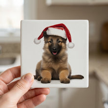 Belgian Tervuren Puppy ceramic coasters set of 4, in hand