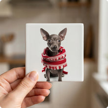 Xoloitzcuintli Puppy ceramic coasters set of 4, in hand