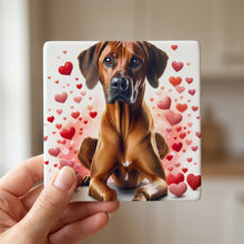 Rhodesian Ridgeback ceramic coasters set of 4, in hand