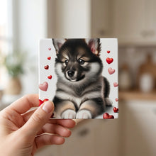 Keeshond ceramic coasters set of 4, in hand