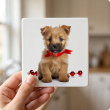 Norwich Terrier Puppy ceramic coasters set of 4, in hand