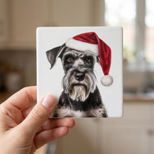 Standard Schnauzer ceramic coasters set of 4, in hand
