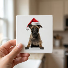 Belgian Malinois Puppy ceramic coasters set of 4, in hand