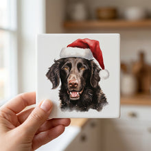 Curly-Coated Retriever ceramic coasters set of 4, in hand