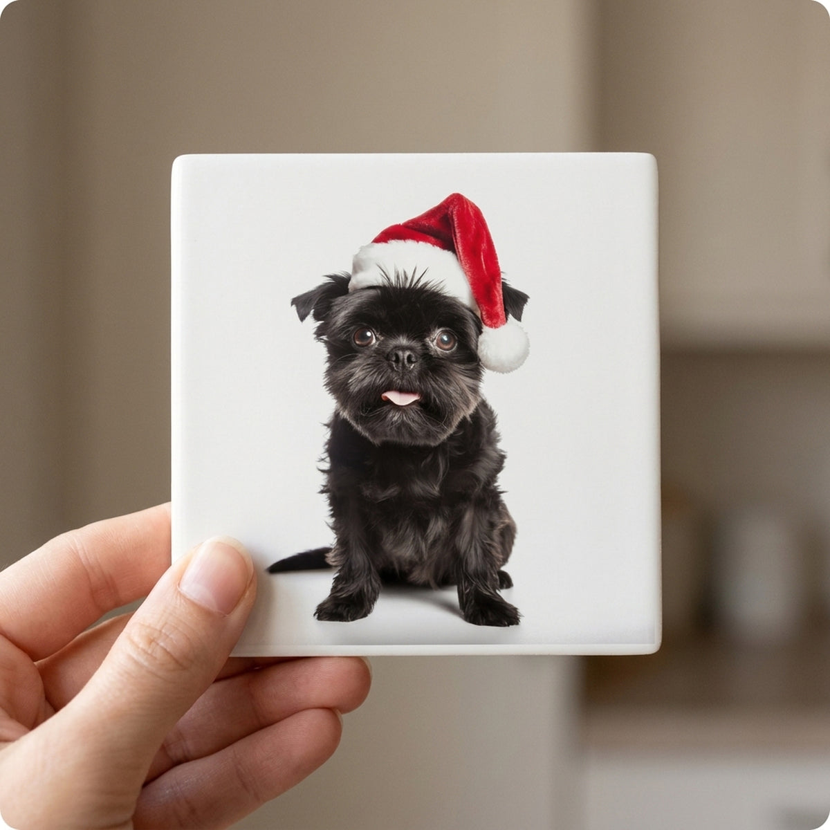 Affenpinscher ceramic coasters set of 4, in hand