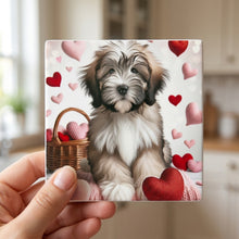 Havanese ceramic coasters set of 4, in hand