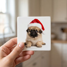 Pekingese Puppy ceramic coasters set of 4, in hand