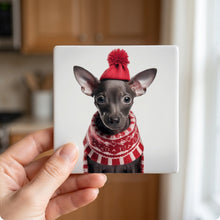 Xoloitzcuintli Puppy ceramic coasters set of 4, in hand