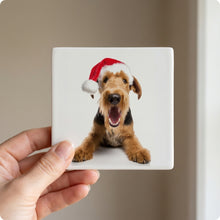 Airedale Terrier ceramic coasters set of 4, in hand