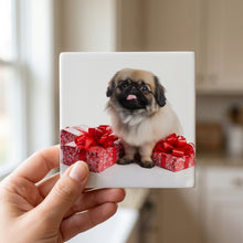 Pekingese ceramic coasters set of 4, in hand