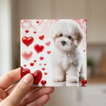 Bichon Frise ceramic coasters set of 4, in hand