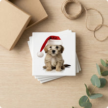 Dandie Dinmont Terrier Puppy ceramic coasters set of 4, gift set