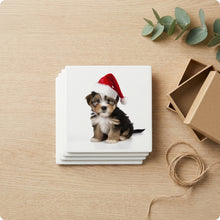 Biewer Terrier Puppy ceramic coasters set of 4, gift set