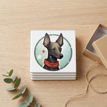 Xoloitzcuintli ceramic coasters set of 4, gift set