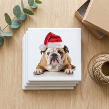 Bulldog ceramic coasters set of 4, gift set