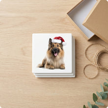 Belgian Tervuren ceramic coasters set of 4, gift set