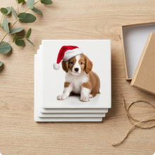 Kooikerhondje Puppy ceramic coasters set of 4, gift set