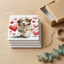 Havanese ceramic coasters set of 4, gift set