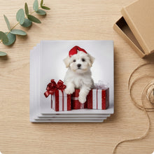 Coton de Tulear Puppy ceramic coasters set of 4, gift set